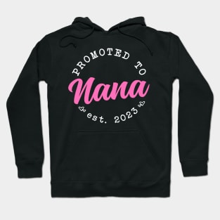 Promoted to Nana Mothers Day 2023 Hoodie